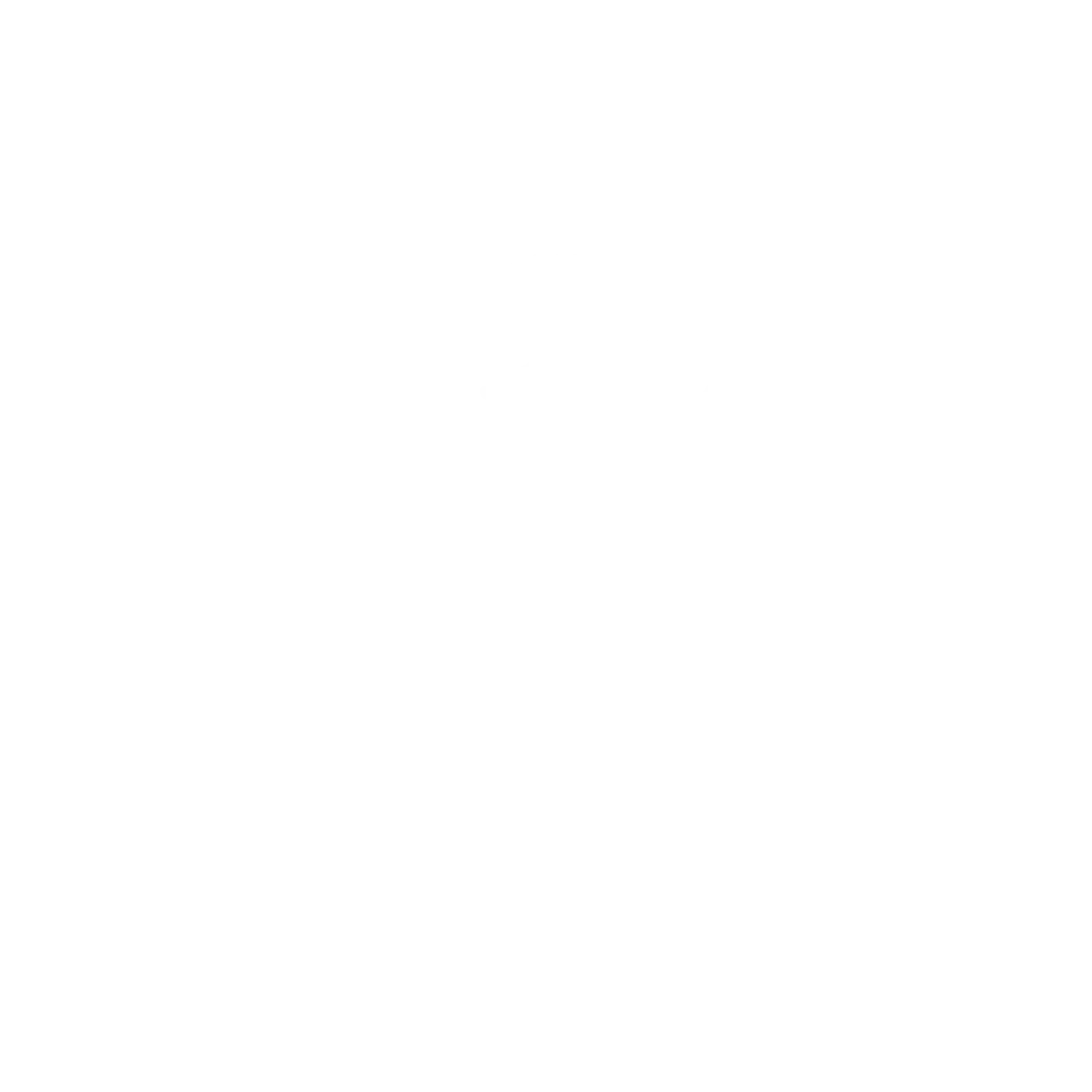 logo ravemar