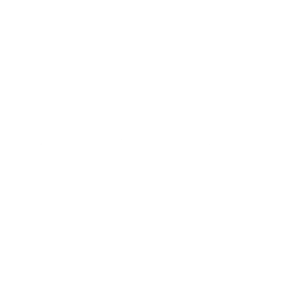 logo zs